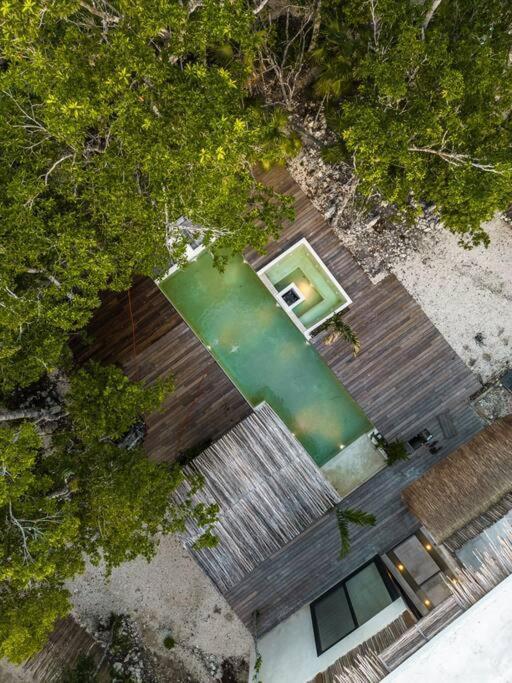 Villa Xuncari In The Heart Of The Jungle Tulum Bagian luar foto